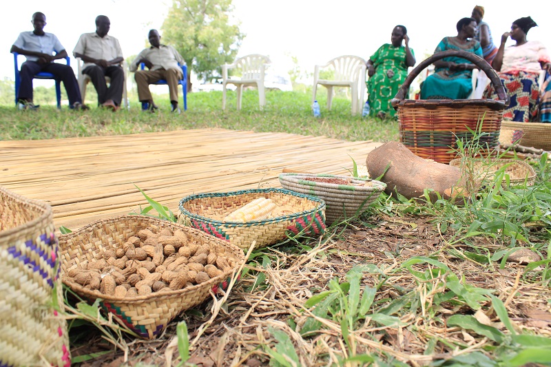 AFRICE supports Banyabutumbi small holder farmers to promote indigenous Farming systems