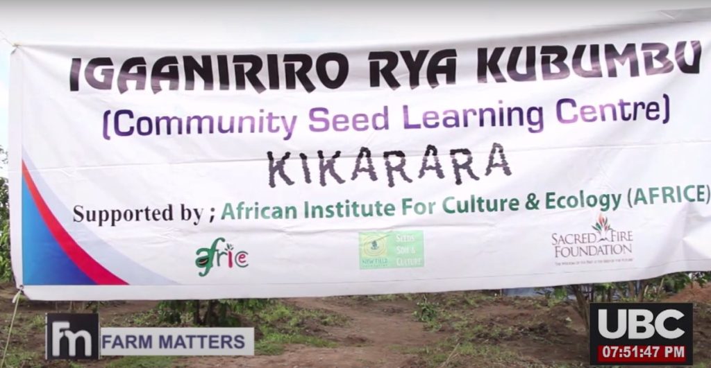 Seed fair at Igaaniriro Rya Kubumbu demonstration farm