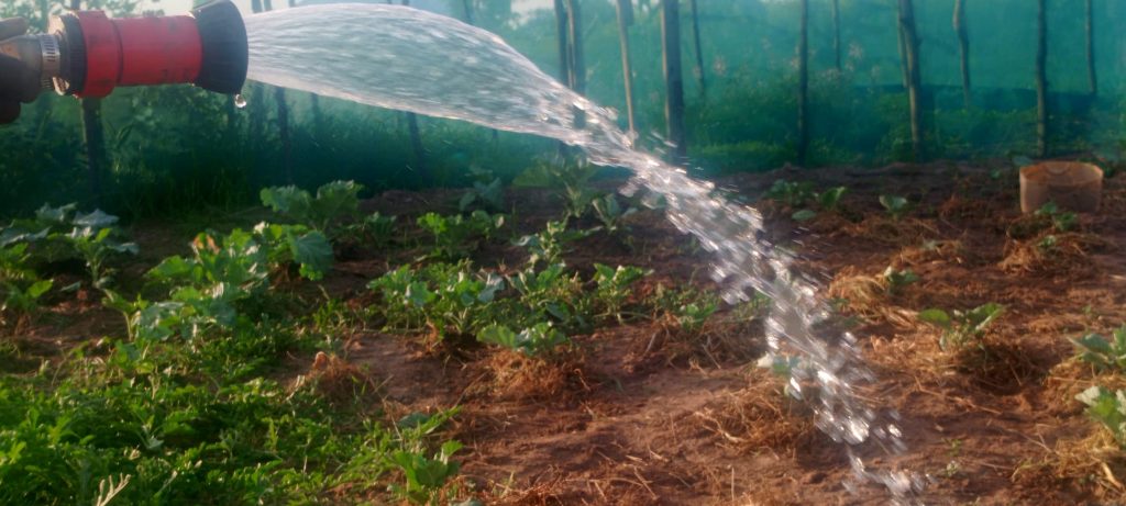 <strong>Harnessing Irrigation for Resilient Farming: AFRICE’s Work in Buliisa</strong>